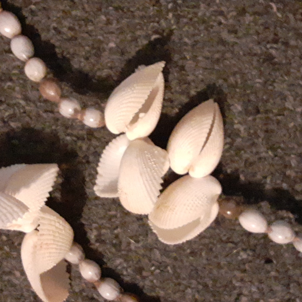 Pooka Shell Decor - Picture 2 of 2